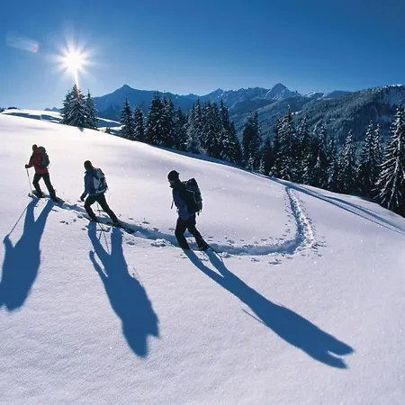 Hotel Malerhaus Fuegen