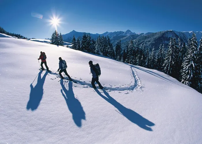 Hotel Malerhaus Fuegen